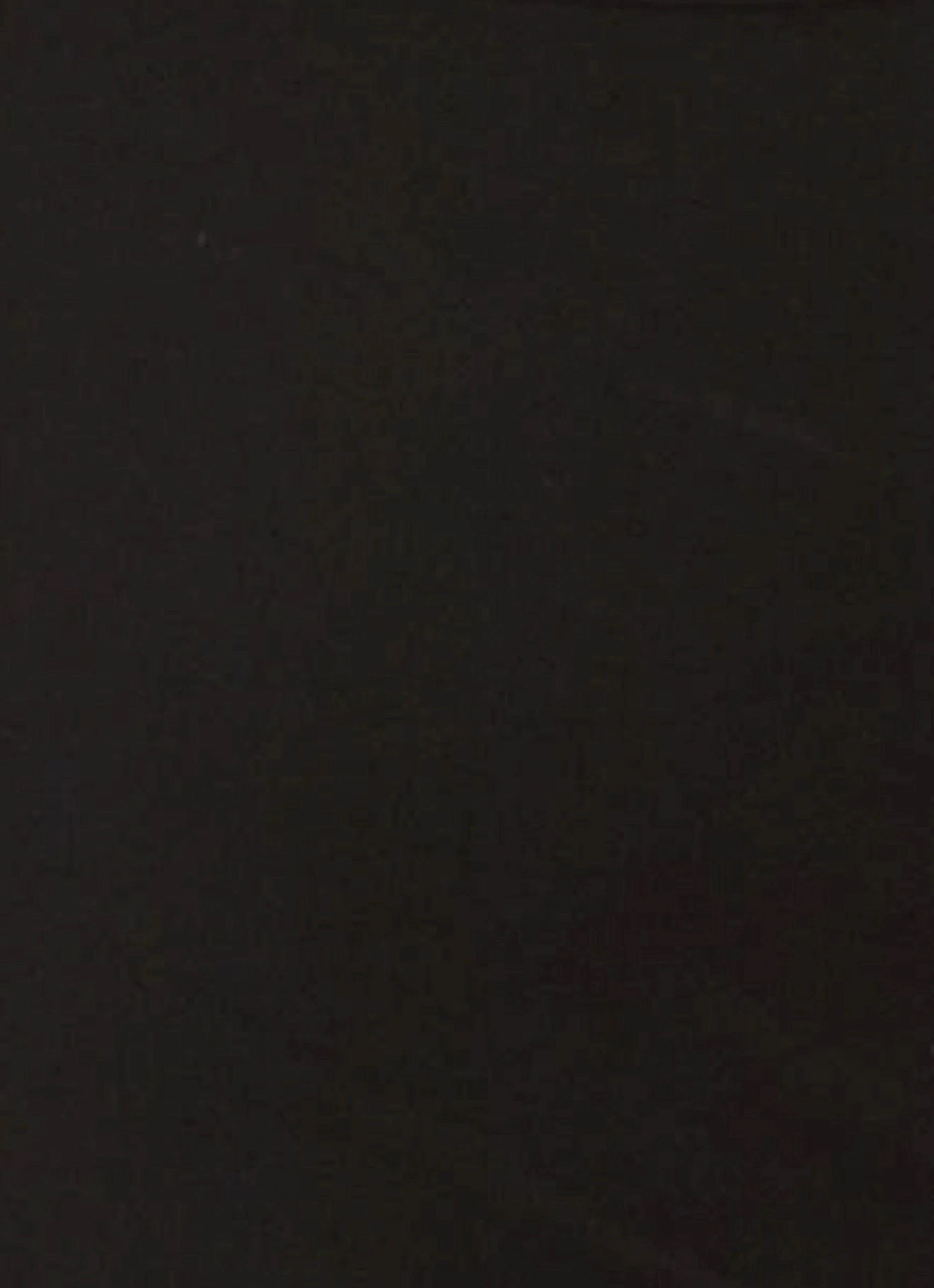 Peppermayo Exclusive Cedar Crop Top - Black 6 Peppermayo Exclusive Cedar Crop Top - Black - Image 6