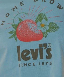 Levi's Cropped Jordie Tee - Natural Blue -Peppermayo cloth-shop 572e09b1460c4ff395a2f8dfb0947432 scaled