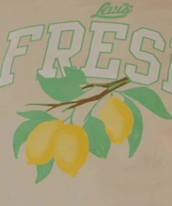 Levi's Cropped Jordie Tee - Undyed Greige -Peppermayo cloth-shop c71381d67e8649609c3e69b409fd53a4 scaled